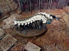 Radjame et son scolopendre n�cron