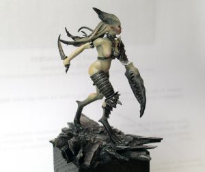 D�monette d'Alan Carrasco