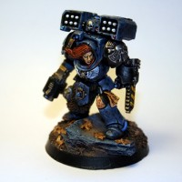 3- Terminator Garde Loup par Salgin