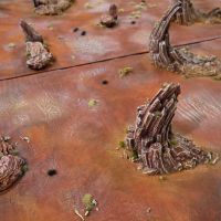 La d�solation du Pep'