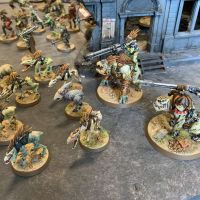 Larg' et ses Kroots libres