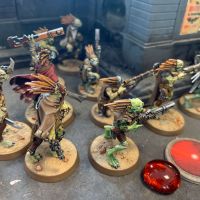 Larg' et ses Kroots libres