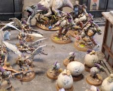 Galak et ses Kroots endoctrin�s