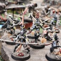 Wallace et ses Drukhari