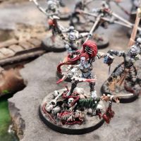 Wallace et ses Drukhari