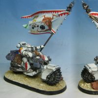 3- Banni�re White Scars par Larg'