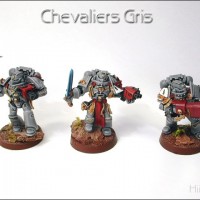 Grey Knights par Hiigara