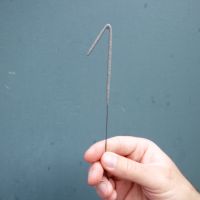 Troph�e de d�cor or