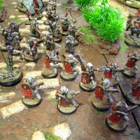 Vlad et son arm�e de la Garde m�canis�e