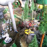 Obone et sa table foresti�re