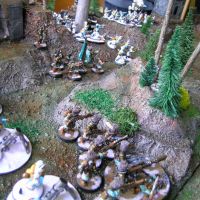 Obone et sa table foresti�re