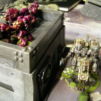 Marco et ses Loulous pr�-H�r�sie